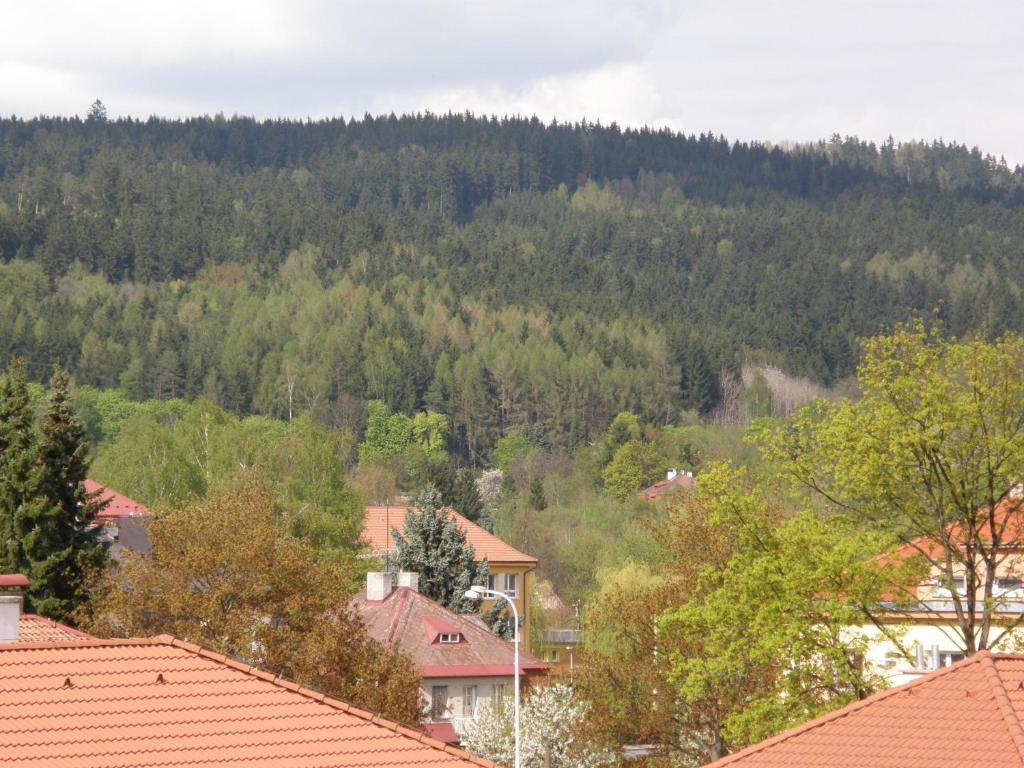 Apartments Meixner Mariánské Lázně Esterno foto