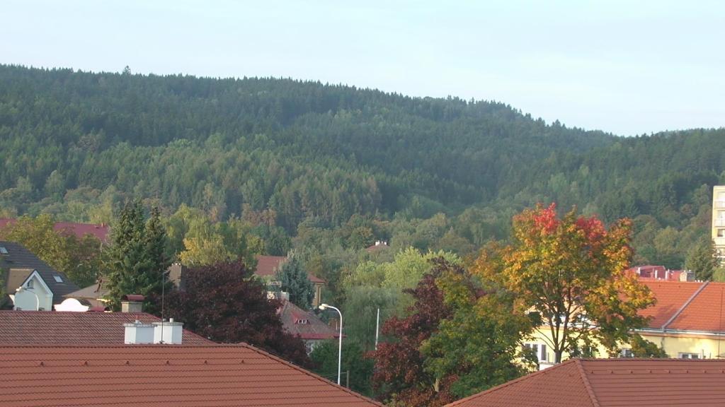 Apartments Meixner Mariánské Lázně Esterno foto