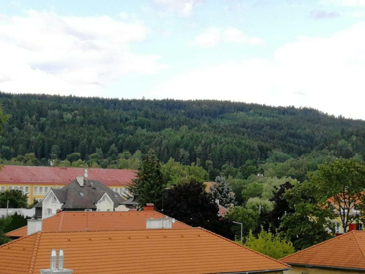 Apartments Meixner Mariánské Lázně Esterno foto